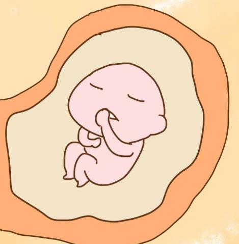 什么是胎动?我们应该注意哪些异常胎动?