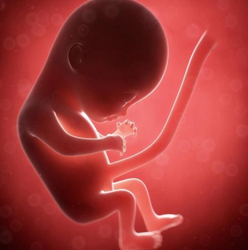 胎儿发育迟缓的主要原因是什么?怎样避免胎儿宫内发育迟缓?