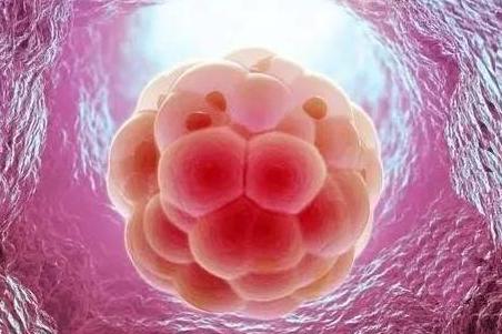 生化妊娠是什么?如何预防生化妊娠? 生化妊娠是什么?如何预防生化妊娠?