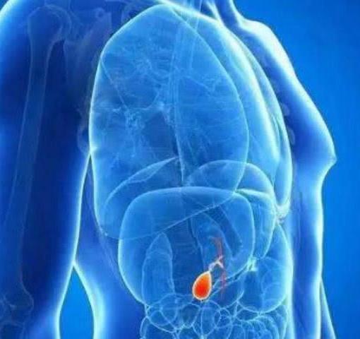 胆囊炎是什么?胆囊炎不适合吃什么食物? 胆囊炎是什么?胆囊炎不适合吃什么食物?