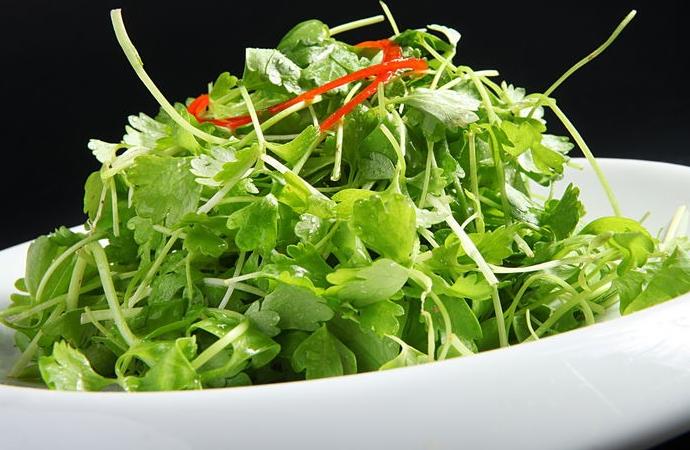 多吃香菜竟然可以对抗一些疾病?香菜既养生又功效多!!! 多吃香菜竟然可以对抗一些疾病?香菜既养生又功效多!!!