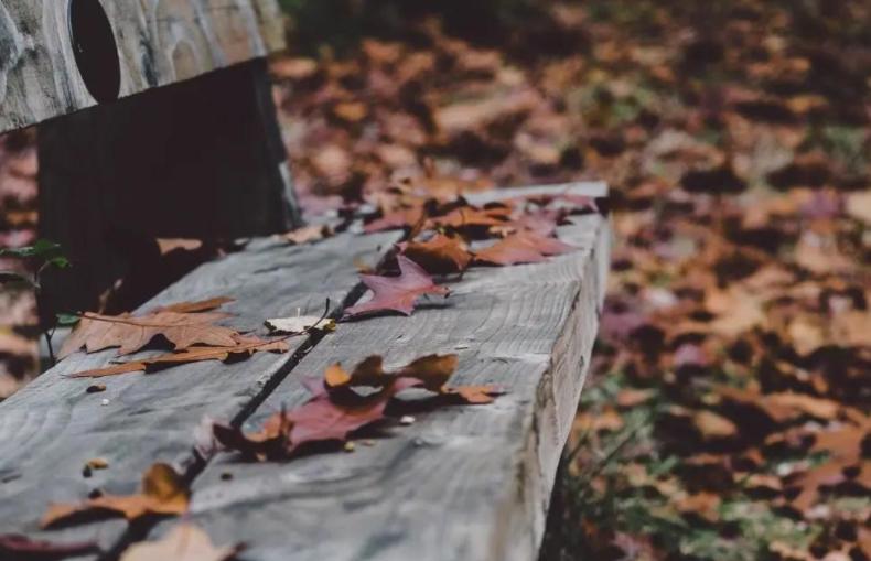 为什么秋冬季节的抑郁高发期？上班族该如何合理调节心态？