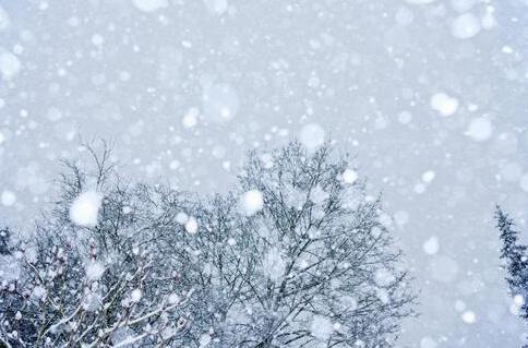 新一轮寒潮即将来袭,2025年立冬前将遭遇雨雪降温天气 新一轮寒潮即将来袭,2025年立冬前将遭遇雨雪降温天气