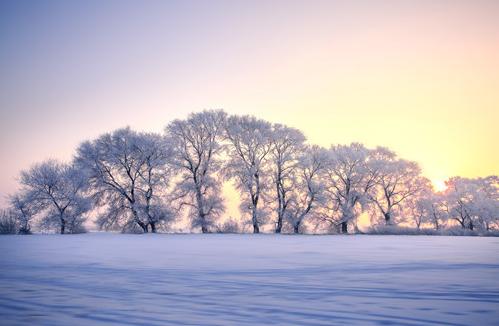 黑龙江多地遭遇暴风雪,黑龙江东部多地可能遭遇11月下旬最强降雪! 黑龙江多地遭遇暴风雪,黑龙江东部多地可能遭遇11月下旬最强降雪!
