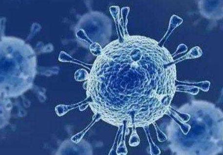 美国再发现5例奥密克戎毒株感染者，最近曾到访过南非！