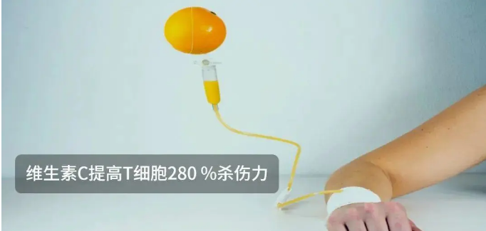  免疫治疗效果有望提升！维生素C可提高T细胞280 %杀伤力