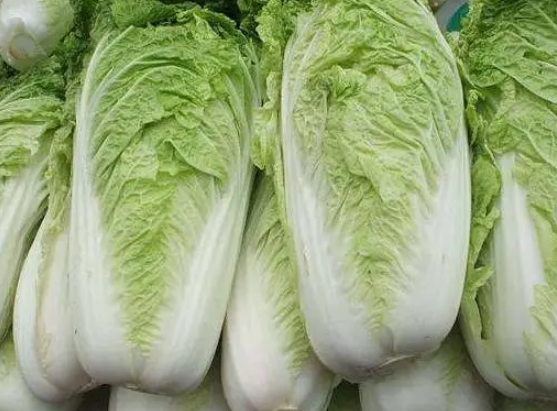 河南农民称菜烂地里降价70%卖不掉 疫情导致物流停运蔬菜陷入滞销