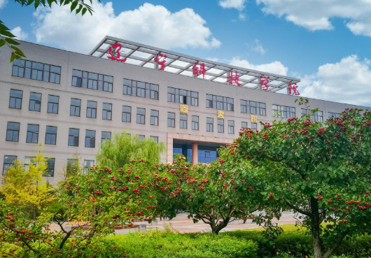 辽宁科技学院是什么级别 辽宁科技学院就业前景怎么样