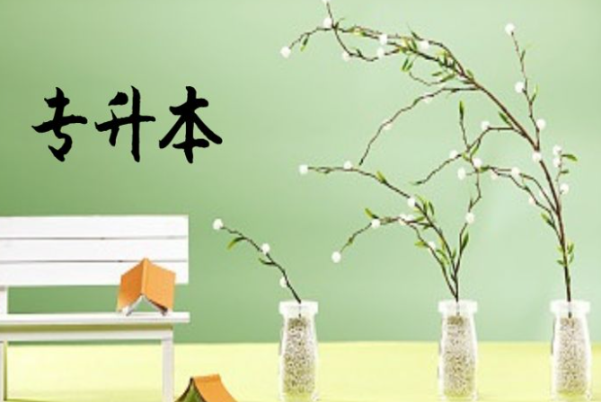 专升本考试内容是什么(大专考本科考什么)