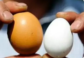 土鸡蛋和饲料鸡蛋的营养价值是一样的,为何会有误区觉得土鸡蛋更有营养呢? 土鸡蛋和饲料鸡蛋的营养价值是一样的,为何会有误区觉得土鸡蛋更有营养呢?