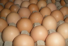 土鸡蛋和饲料鸡蛋的营养价值是一样的,为何会有误区觉得土鸡蛋更有营养呢? 土鸡蛋和饲料鸡蛋的营养价值是一样的,为何会有误区觉得土鸡蛋更有营养呢?