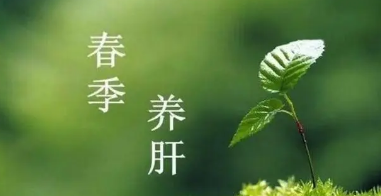 春季养肝吃什么食物最好,如何有效的呵护肝?