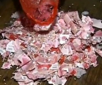 老鼠偷窃超市2千现金拖进老鼠洞里全是钱,老鼠偷窃具体是什么情况?