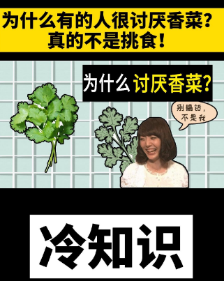 2月24日是世界讨厌香菜日,为何会有人多香菜极其讨厌? 2月24日是世界讨厌香菜日,为何会有人多香菜极其讨厌?