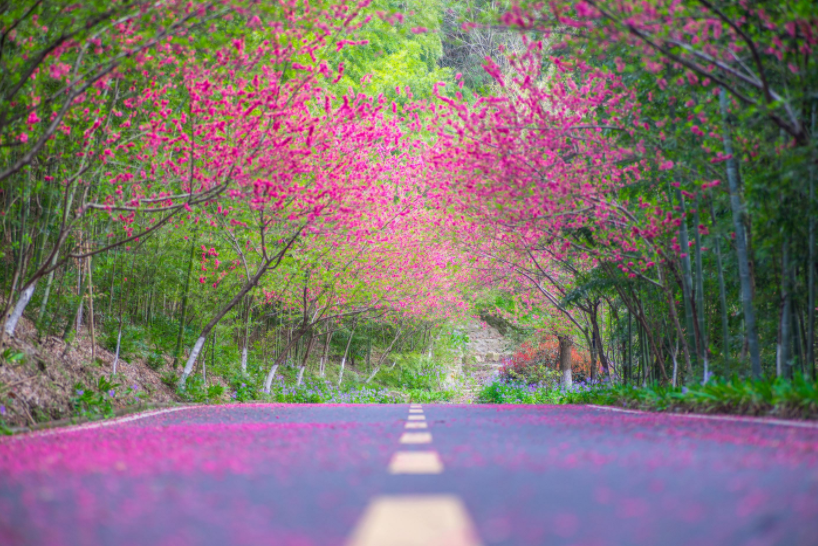武汉最适合春季旅行的八大路线，2022武汉三月最美赏花线路推荐