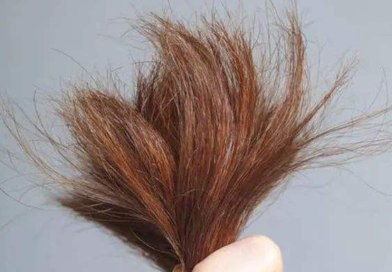 头发老是发黄怎么办？能让头发变得乌黑发亮的食补方法有哪些？