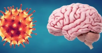 新冠或致大脑萎缩使人提前老10岁,研究人员表示大脑可能自愈