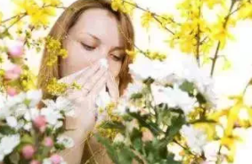 春天花粉过敏应该如何解决?春天花粉过敏怎么办才好?
