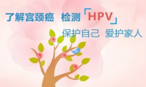 HPV疫苗接种有哪些禁忌?接种HPV有哪些注意事项?