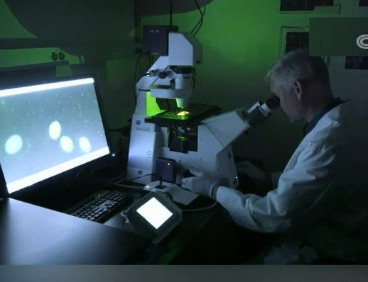 俄军抛出美在乌生物实验重磅证据，美在乌生物实验室进行蝙蝠冠状病毒试验