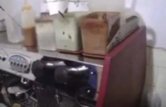 出租屋产假星巴克外卖达729单,涉案金额超四万元,星巴克:坚决打击制假行为 出租屋产假星巴克外卖达729单,涉案金额超四万元,星巴克:坚决打击制假行为