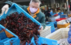 武汉疫情疑似与美国进口龙虾相关,难道真的是它?