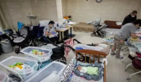 乌克兰地下室积攒大量代孕新生儿,新生儿正等待外国父母前来认领
