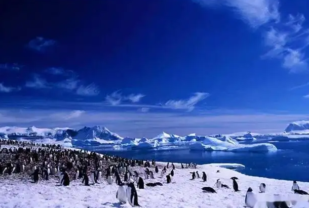 南极一冰架崩解面积堪比洛杉矶，2022年南极气温创历史纪录！