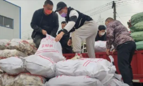 杭州每天10万斤早笋驰援上海,全国多地物资驰援上海,全力守“沪”