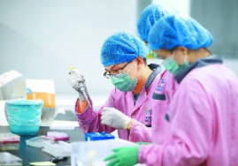 完整人类基因组首次被破译,研究人员到底破译了什么?