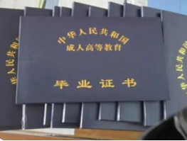  对成人教育的看法,成人教育具体是怎样的?