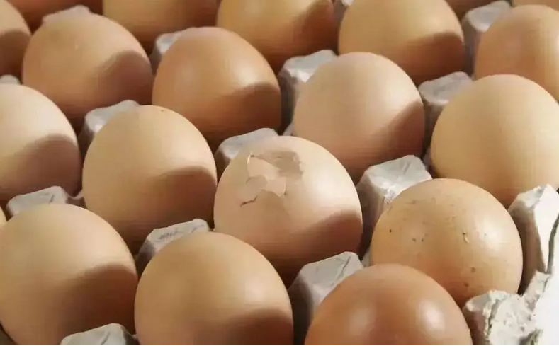 所有鸡蛋中都有沙门氏菌？如何避免鸡蛋中的沙门氏菌对身体的伤害？