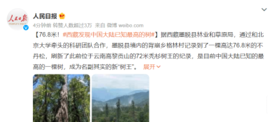 西藏发现中国大陆已知最高的树 76.8米成名副其实的新“树王”