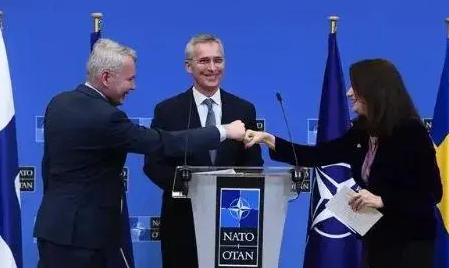 中立的瑞典芬兰为何抢着加入北约?芬瑞踏上“入约之路”有什么原因?