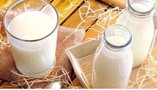 原来纯牛奶也有真假之分?如何识别?哪些人不宜多喝牛奶? 原来纯牛奶也有真假之分?如何识别?哪些人不宜多喝牛奶?