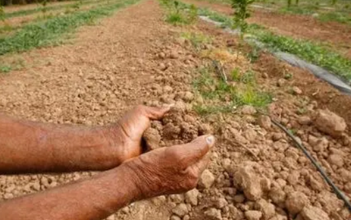 官方回应农民反映“土地浇地难”,我国农业目前面临着怎样的问题？