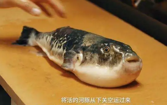 顾客海底捞吃河豚中毒，吃河豚鱼中毒了怎么处理?