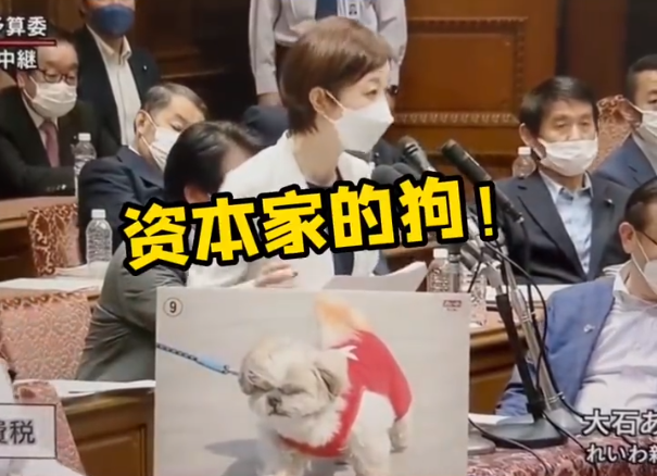 日本议员在众议院预算委员会称首相是资本家的狗 这是什么情况？