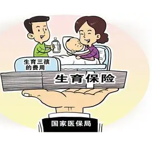 生育险和生育津贴是一回事吗？想要成为宝爸宝妈的一定要注意了！