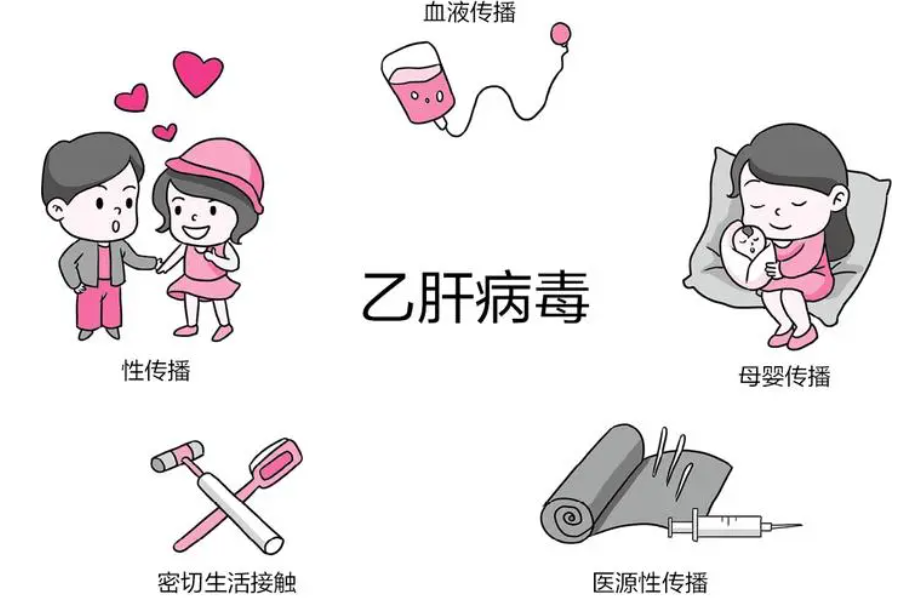 乙肝可以通过什么途径传染？（有效预防乙肝传染的两个方法）