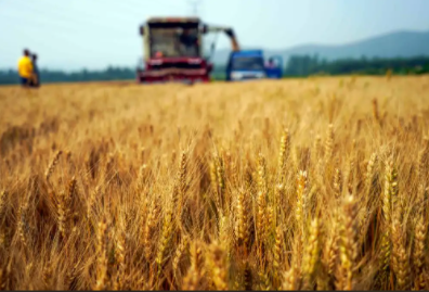 7月21日早间财经新闻：我国夏粮产量创新高 特斯拉利润下滑？