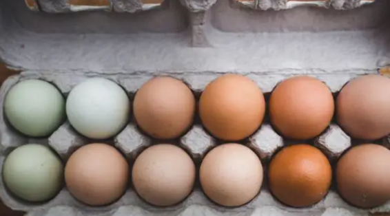 蛋壳越红越有营养吗?鸡蛋选购及食用建议