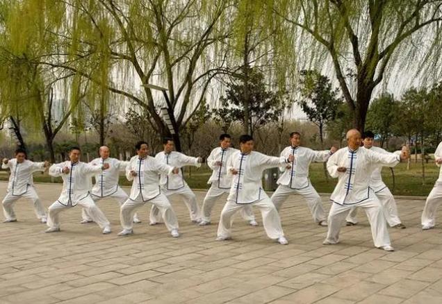 中国传统文化苌家拳,苌家拳的武术特点
