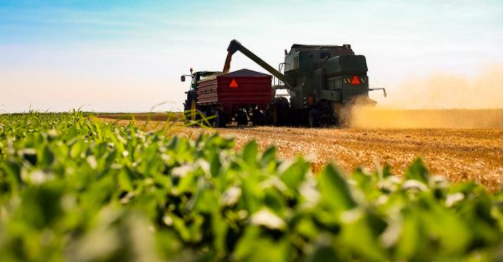 全球肥料供应将持续紧张 哪些企业在需求暴增情况下迎机遇?