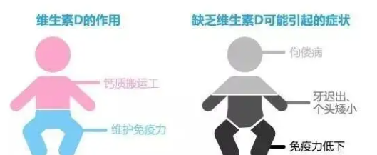 天天喝牛奶得骨质疏松？哪些维生素能够促进钙被人体吸收？