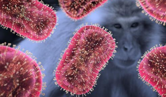 猴痘病毒传播到日本已确诊一例 猴痘病毒会在我国大规模传播吗？
