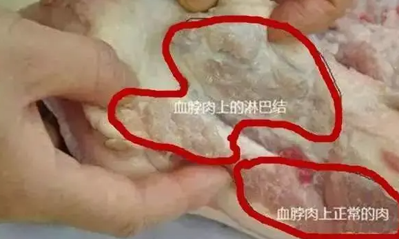 幼儿园使用生蛆淋巴肉？吃淋巴肉对身体有哪些危害？