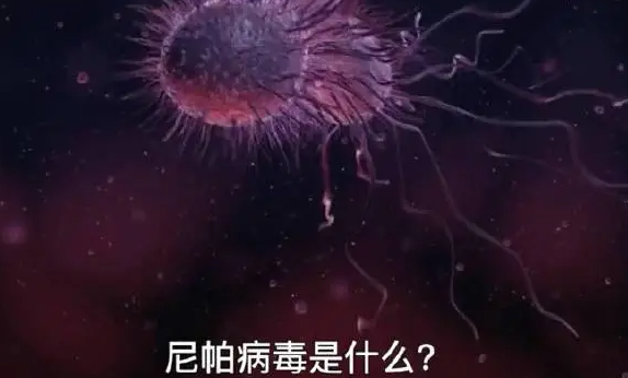 尼帕病毒到底是什么?(尼帕病毒的传播途径和感染症状)