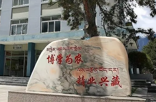 2022年西藏一共有7所大学，西藏高校不再分层次？