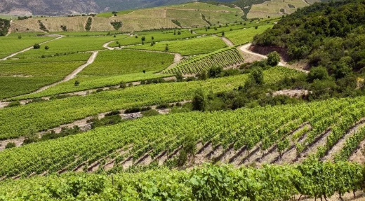 智利葡萄酒产区有怎样的变化,智利葡萄酒产地的变迁史